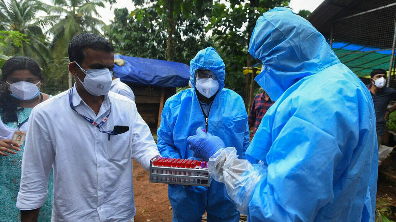 Nipah virusi nazorat ostida, biroq xavf saqlanib qolmoqda: Hindistonda hamshira vafot etdi, ekspertlar asosiy xavf guruhi haqida ogohlantirmoqda