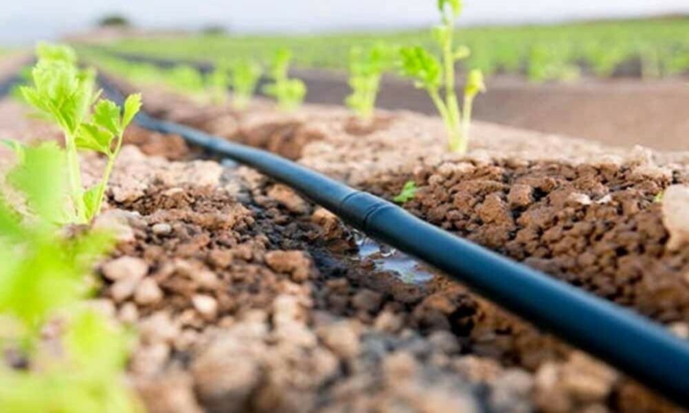 Orolbo‘yi hududidagi qishloq aholisiga suv tejovchi texnologiyalar joriy etilmoqda