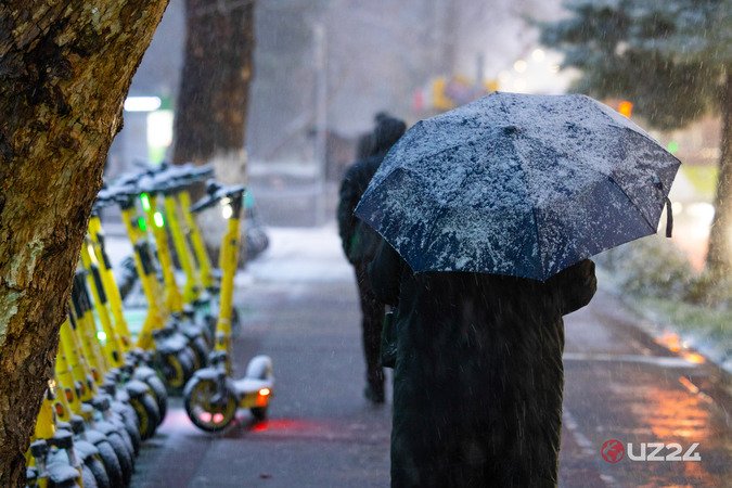 “Bizdan bahor begonadir borgan sari” — fotojamlanma