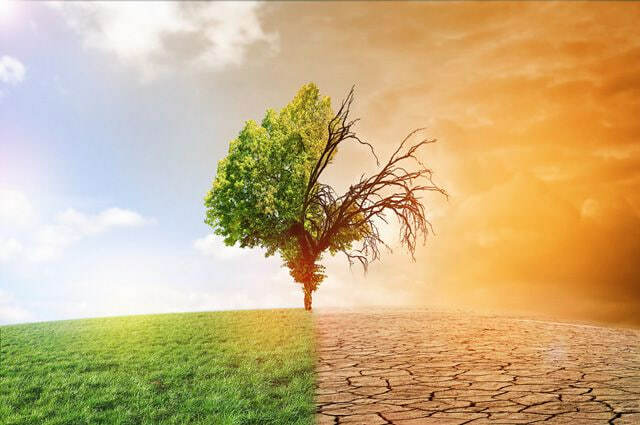 Климатический апокалипсис уже начался: что угрожает каждому из нас