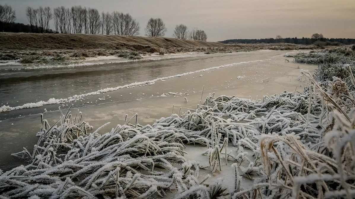 Фото: "Янги Ўзбекистон" газетаси