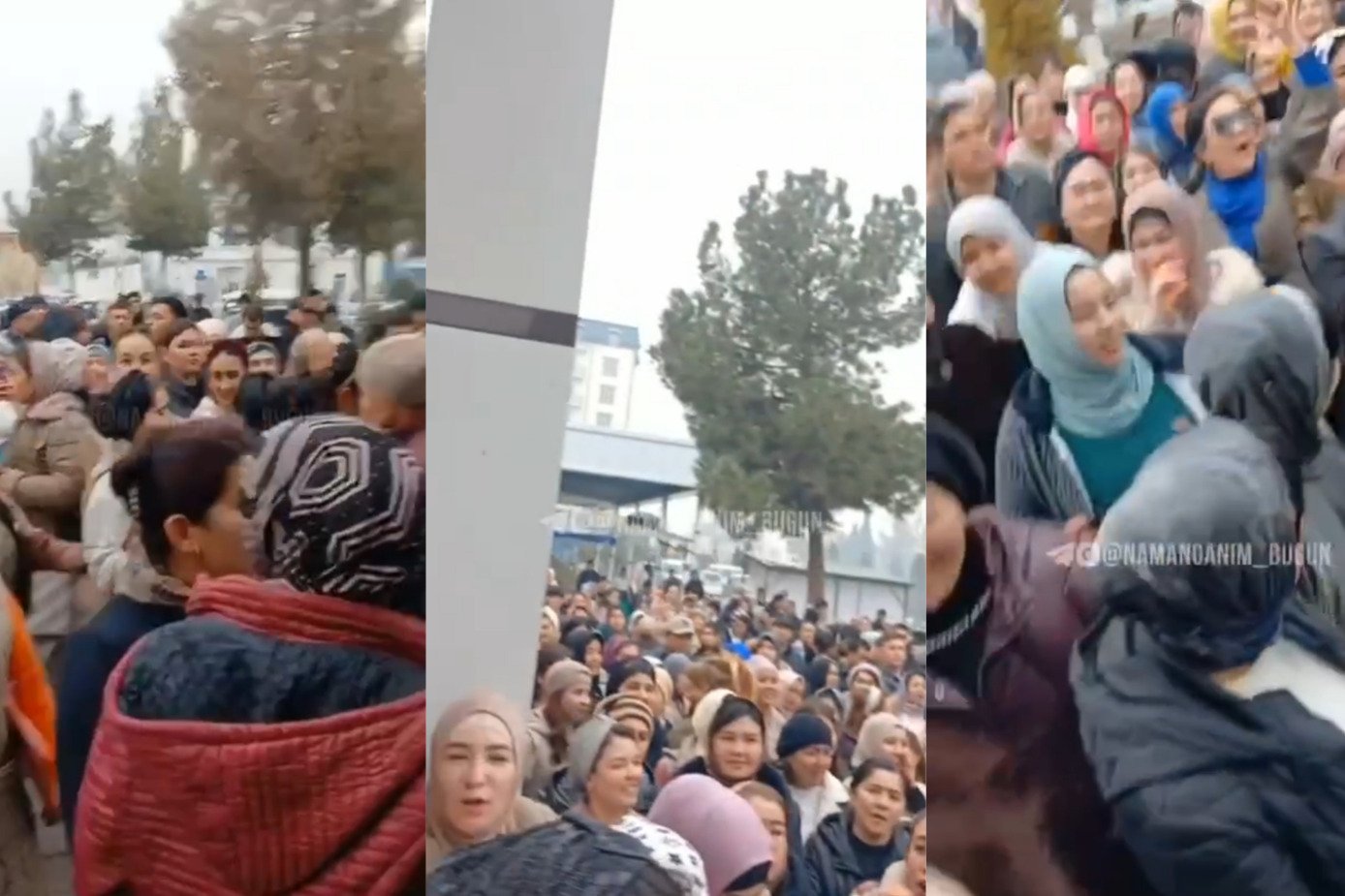 Norozilik foyda bermadi: yana bir xususiy universitet litsenziyasi bekor qilindi