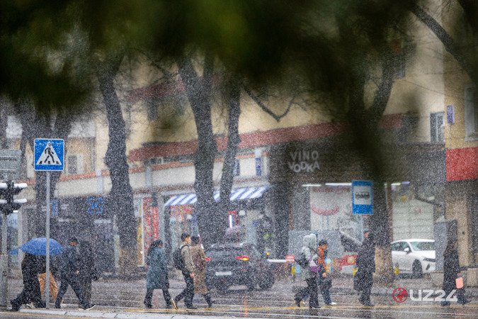 “Bizdan bahor begonadir borgan sari” — fotojamlanma