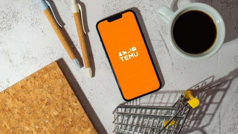 Temu rostdan ham ishga taklif qilyaptimi?