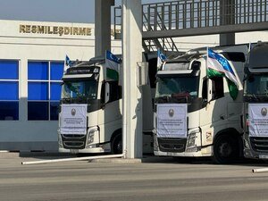 Insonparvarlik yordami