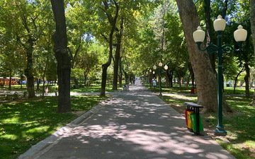Ташкент, город, деревья, космонавты