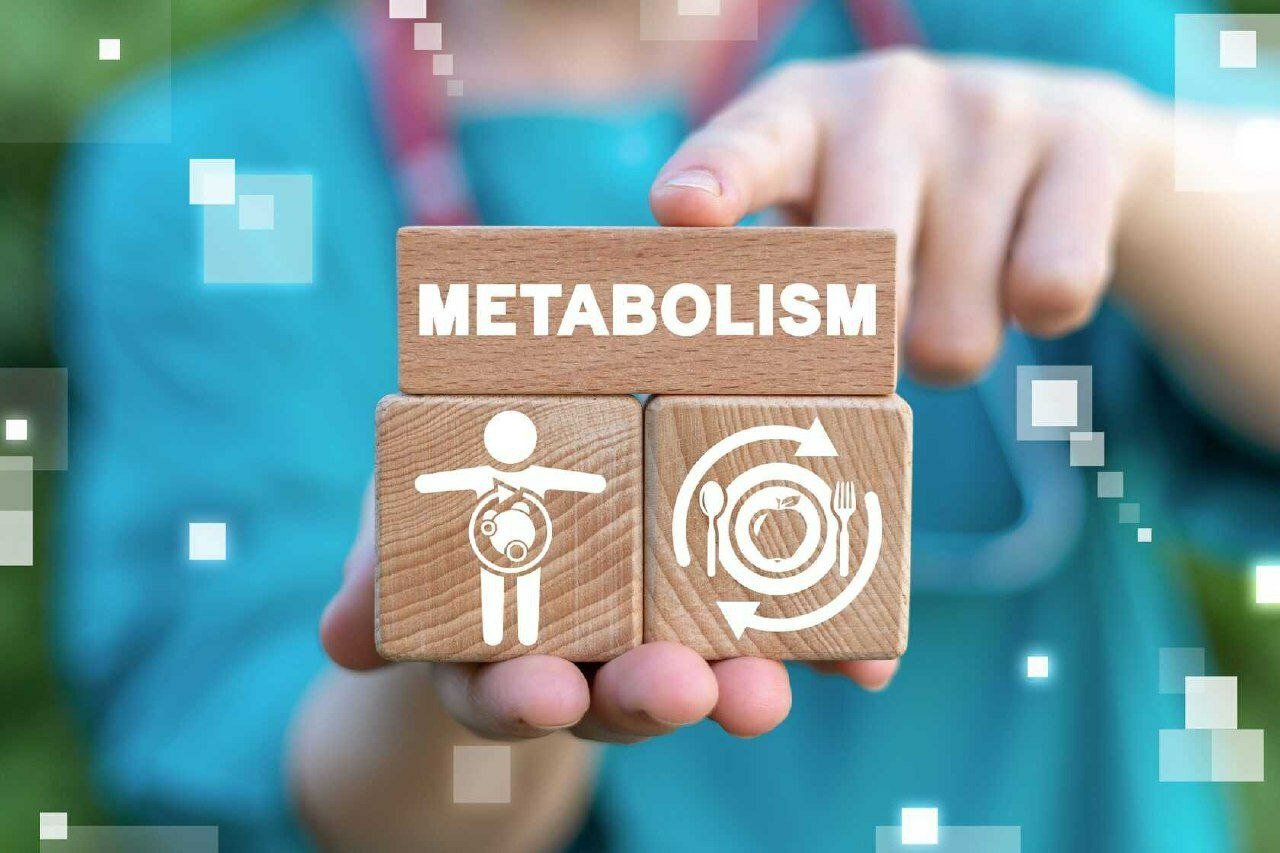 Metabolizmni tezlashtirish tetiklik va miyangiz faoliyati yaxshilanishini uchun eng yaxshi omil