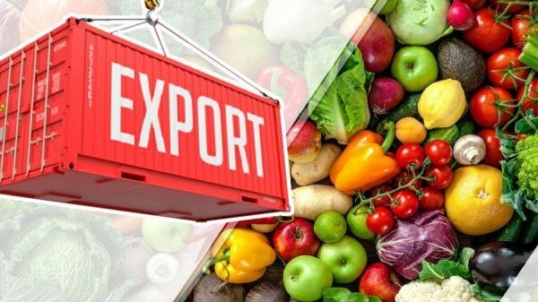 O‘zbekistonning eng eksportbop meva va sabzavotlari qaysi?