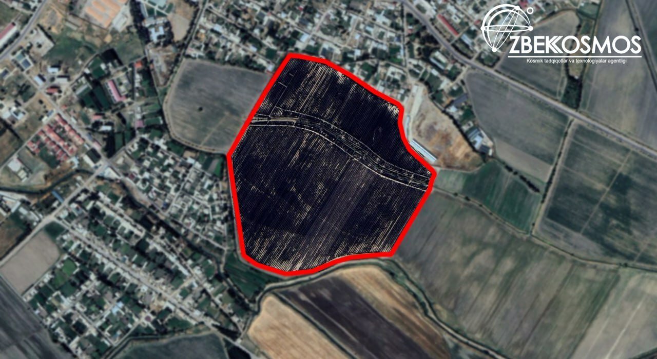 “O‘zbekkosmos” dalalardagi noqonuniy yong‘inlarning suratlarini eʼlon qildi