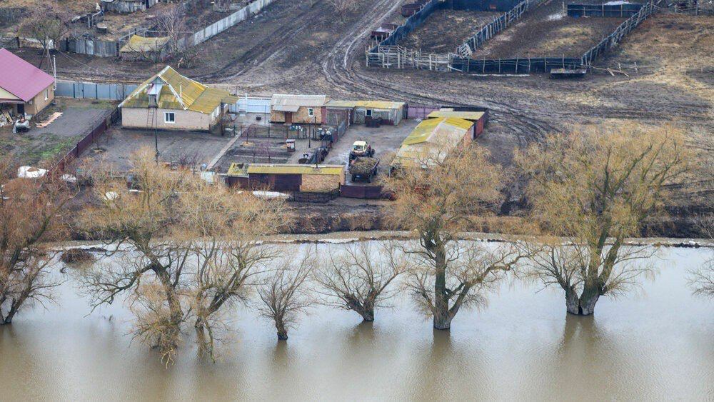 O‘tgan yilda tabiiy ofatlar tufayli 11 mingga yaqin odam halok bo‘ldi