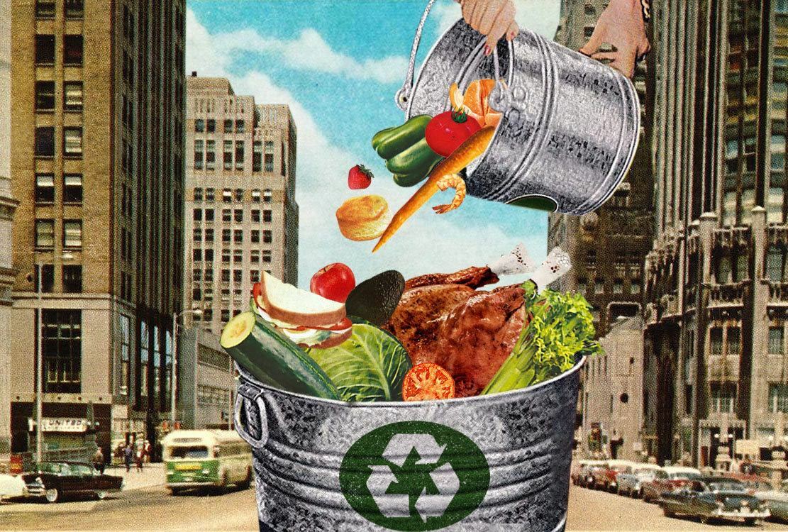 food waste. oziq-ovqat chiqindilari