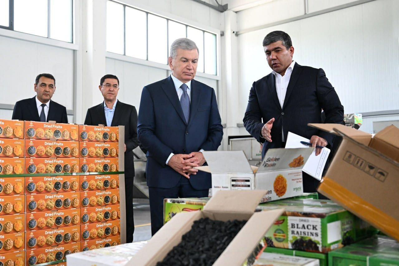 Мирзиёев посетил «Quva Agrostar»: в Фергане формируется полный агроэкспортный цикл