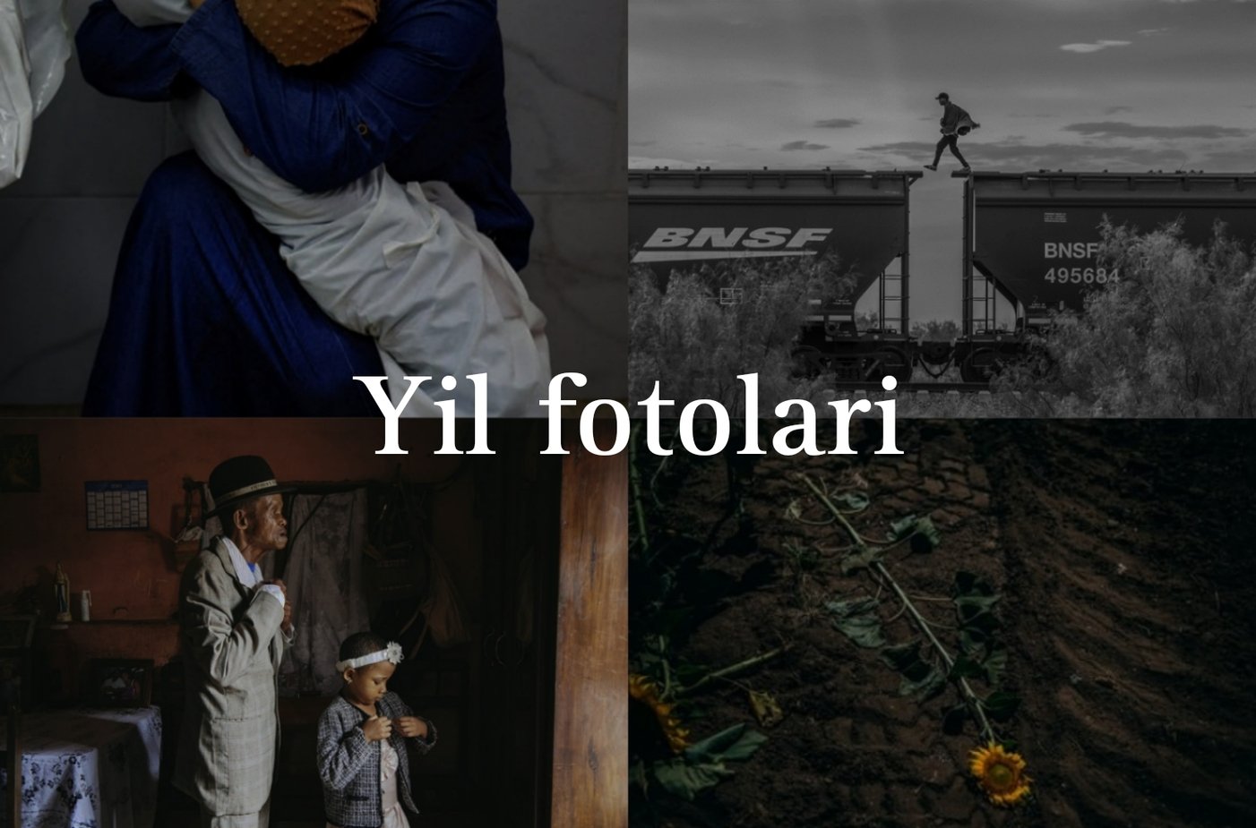 Dragonball akademiyasi porno