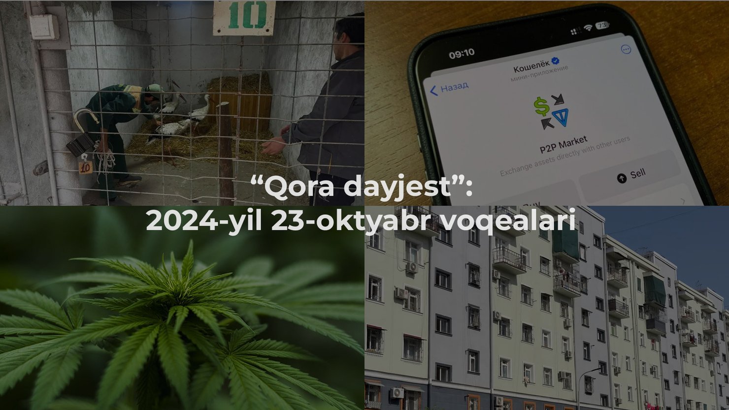 “Qora dayjest”: 2024-yil 23-oktyabr voqealari