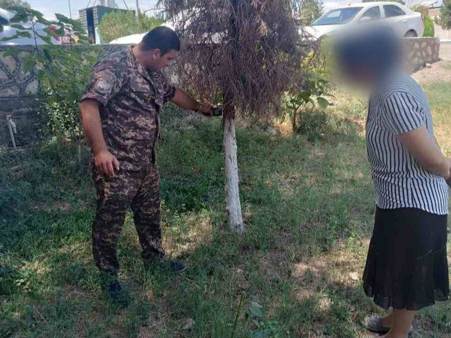 Buxoroda daraxtlarni sug‘ormagan 14 nafar mas’ul jarimaga tortildi