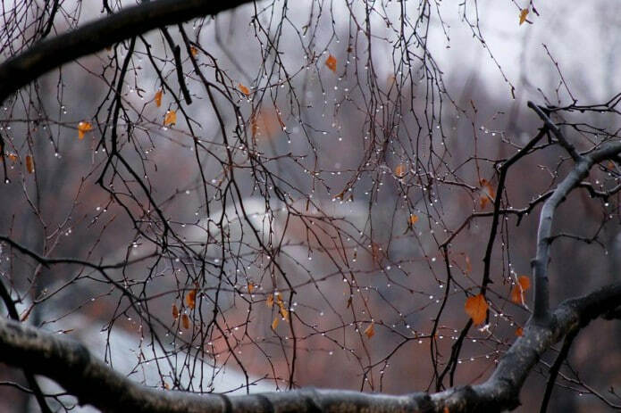 Hafta davomidagi tez o‘zgaruvchan ob-havo inson salomatligiga qanday ta’sir ko‘rsatadi?