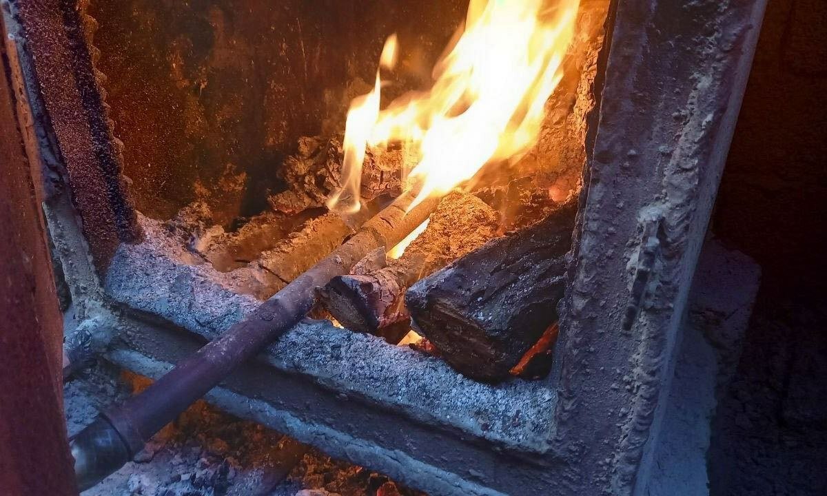 Atmosferaga zarar yetkazayotgan 48 ta issiqxona faoliyati toʻxtatildi