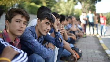 migratsiya ish migrant