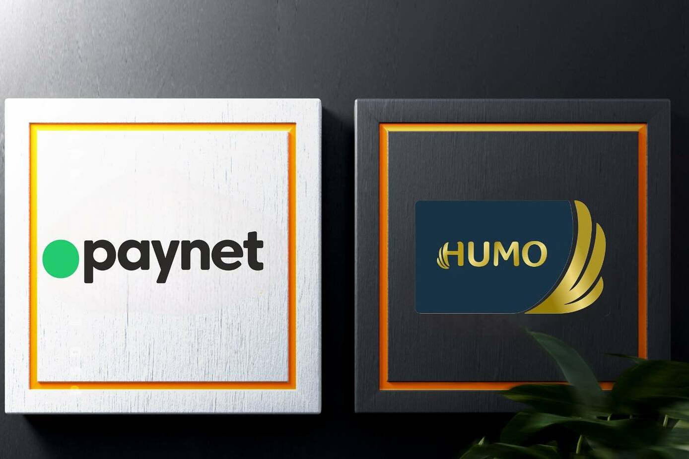 Paynet o‘z aktivlari miqdoridan uch baravar yuqori bo‘lgan Humo’ni qanday sotib oldi?