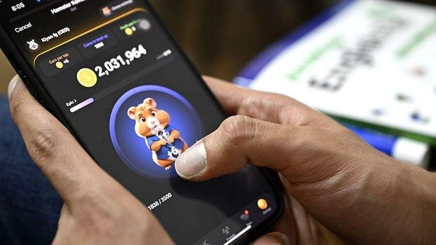 Hamster tangalari oldi-sotdisi bilan shug‘ullanganlar javobgarlikka tortiladi