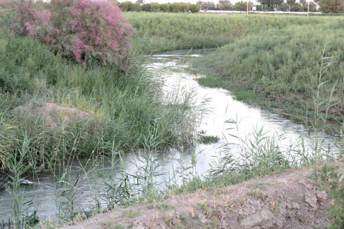 Endi ariq va irrigatsiya tizimlarini ko‘mib tashlaganlar jarimaga tortiladi