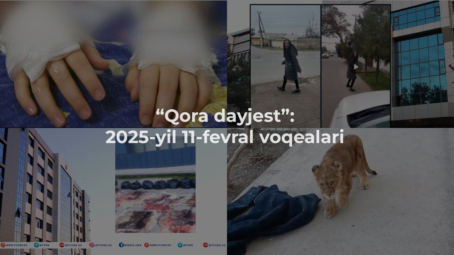 “Qora dayjest”: 2025-yil 11-fevral voqealari