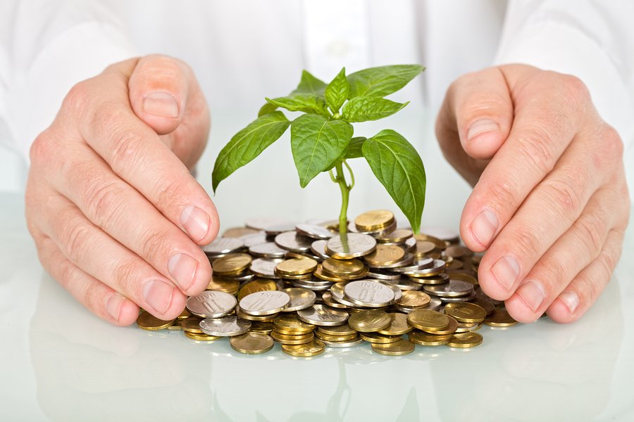 EcoLand: GEFning O‘zbekistondagi $6,1 millionlik ekoloyihasidan nimalar kutilyapti?