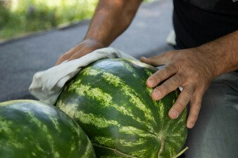 Porno aka sikish singlisi