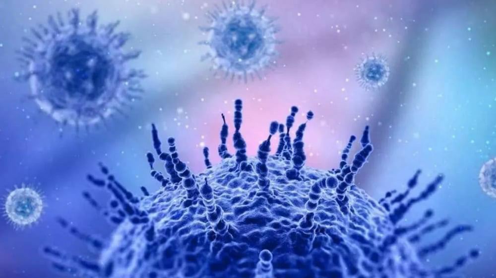 Xitoyda o‘limga olib keluvchi yangi virus aniqlandi