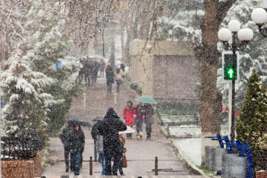 Ta’til e’lon qilindi. Talabalar uchun transportlarga chegirmalar qachondan e’lon qilinishi kerak?
