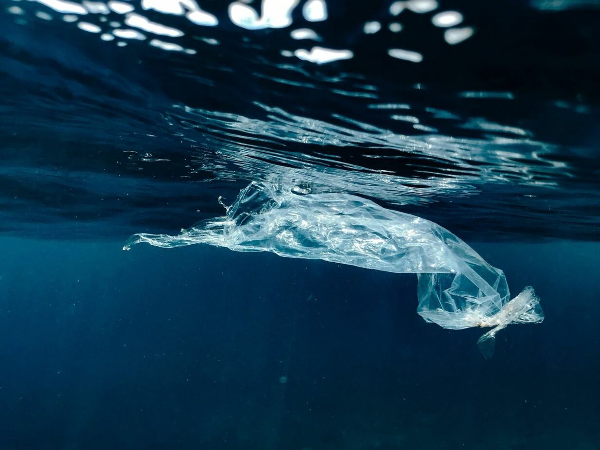 Suvga tushsa, erib ketadi: Ekologiyaga zarar yetkazmaydigan plastik yaratildi