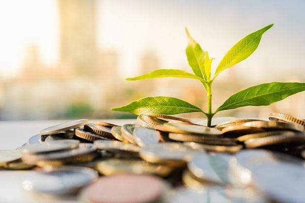 OTB O‘zbekistonda “yashil” iqtisodiyotni qo‘llab-quvvatlash uchun $250 million ajratdi