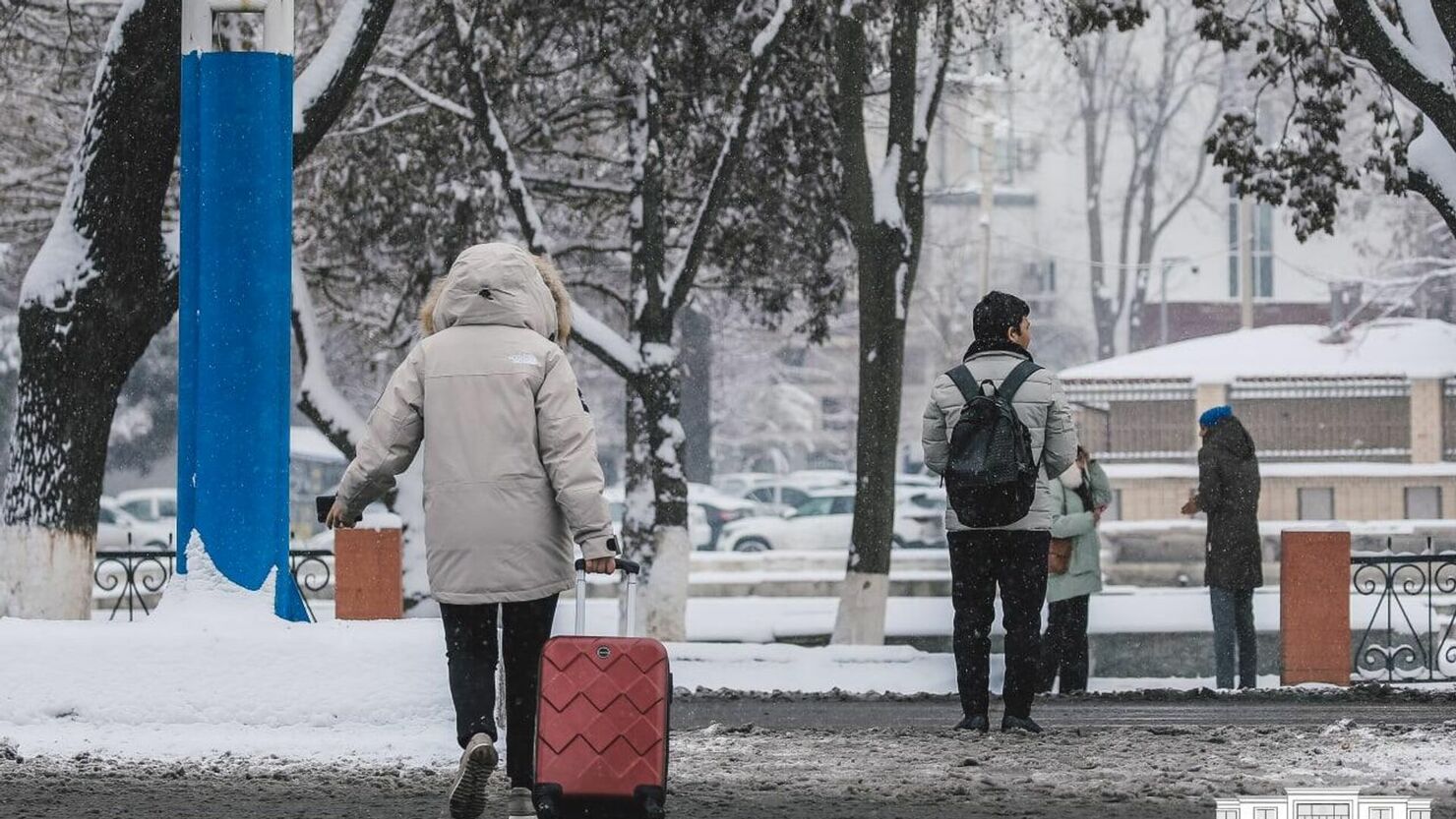 Фото: Sputnik Uzbekistan
