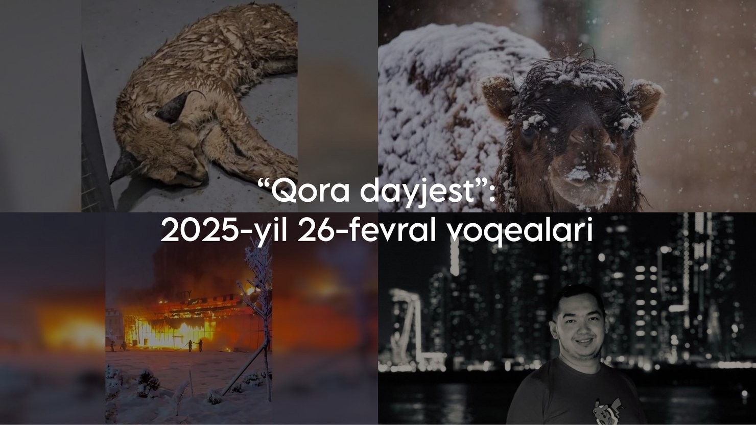 “Qora dayjest”: 2025-yil 26-fevral voqealari