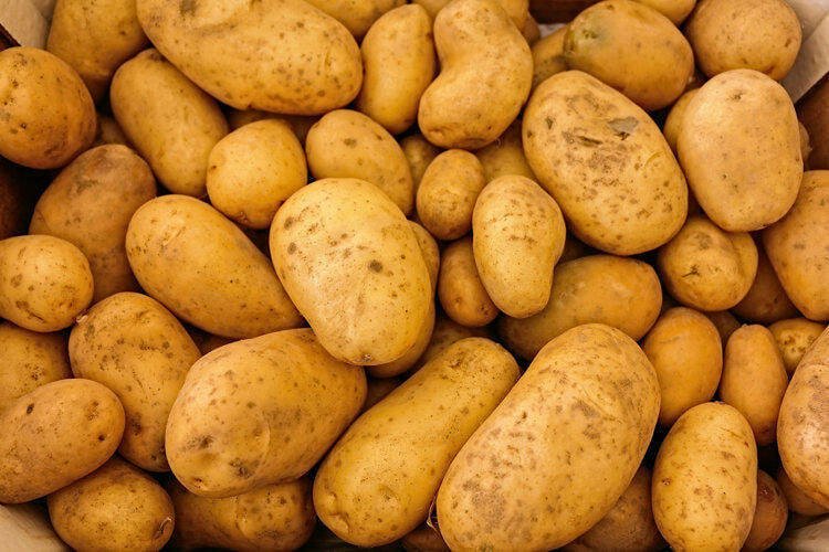 Qozogʻiston kartoshka eksportini chekladi: Endi narx oshib ketadimi?
