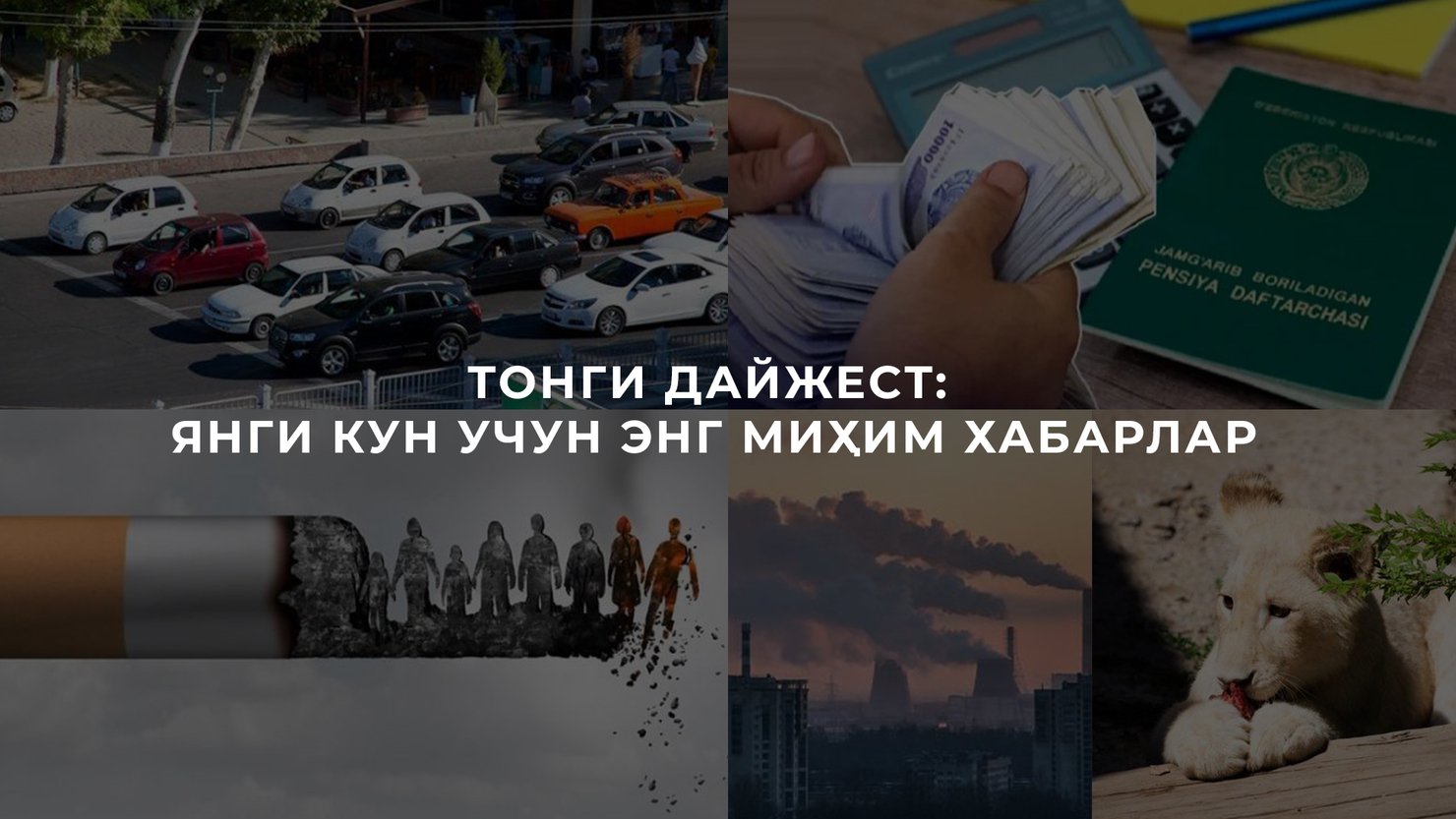 тонг 29 11