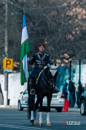 Как прошёл конный парад в Ташкенте? — фоторепортаж