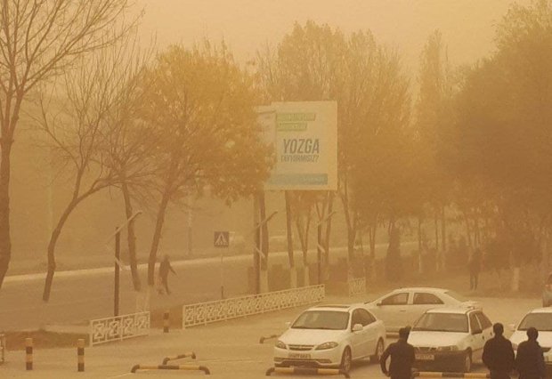 Kambek: O‘zbekistonning ayrim hududlarida chang-to‘zon ko‘tarilishi kutilmoqda