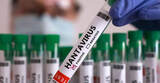 hantavirus