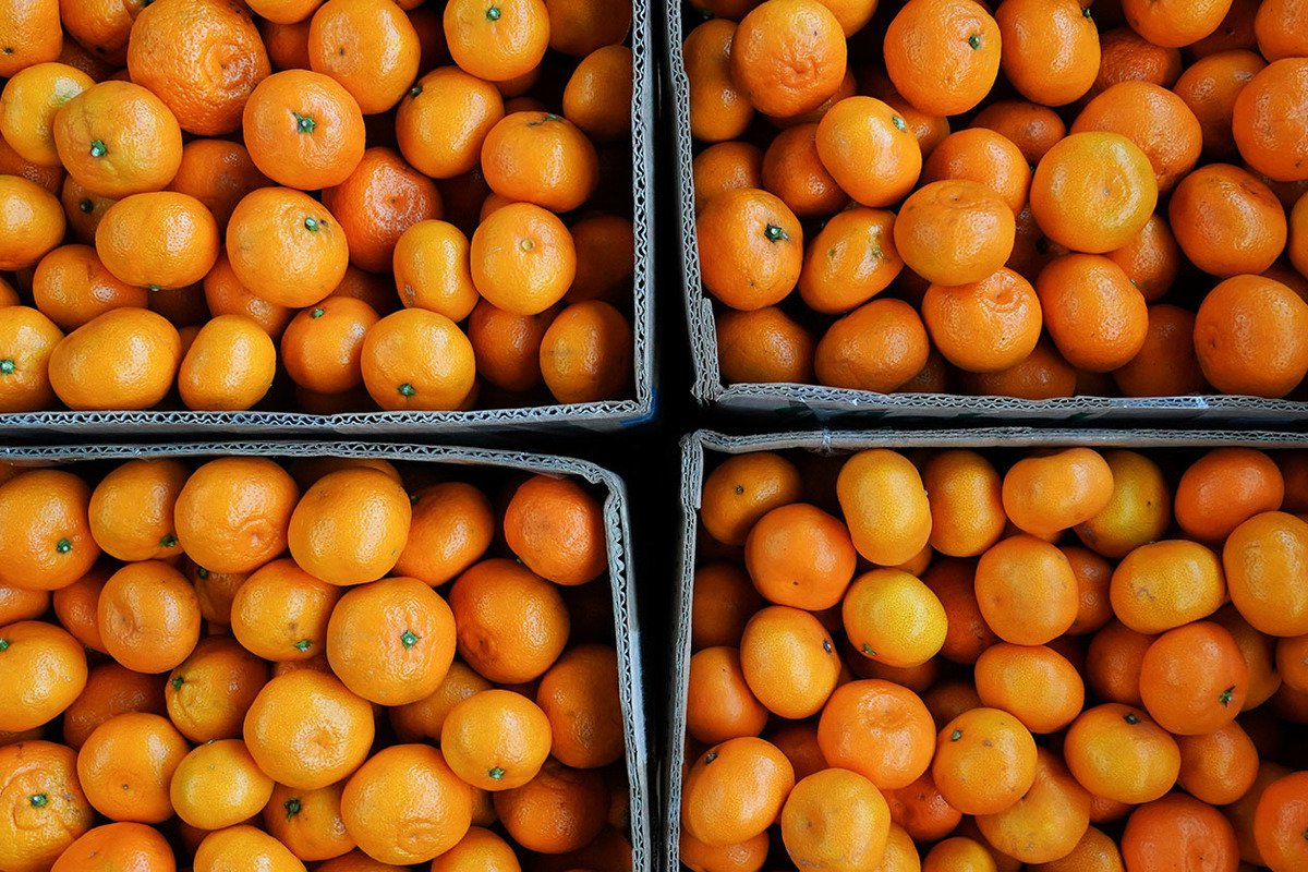 Pokistondan soxtalashtirilgan sertifikat bilan bir partiya mandarin kirib keldi