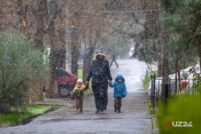 “Bizdan bahor begonadir borgan sari” — fotojamlanma