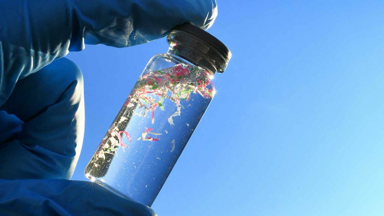 Inson organizmida plastik zarralar eng ko‘p miyadan topildi