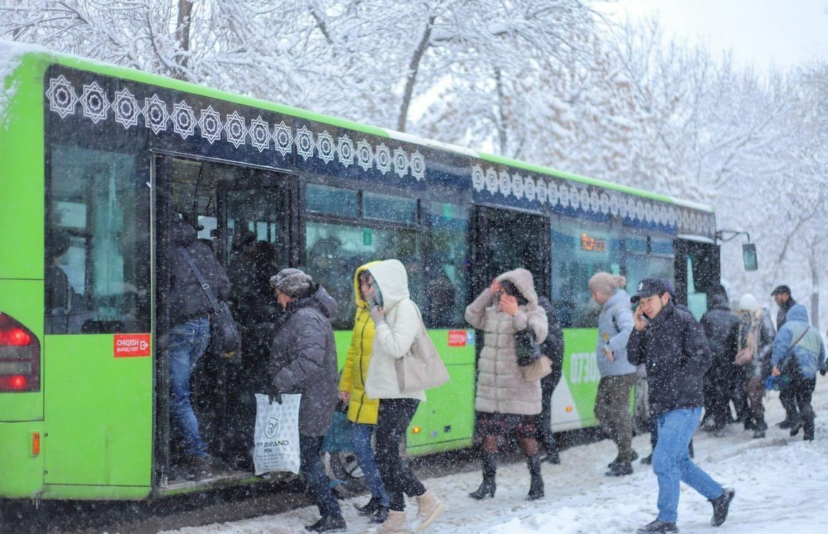 Yangi yil bayramida poytaxt avtobuslari qanday ishlaydi?