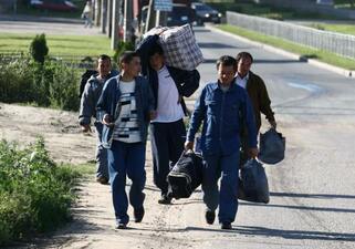 Migrant
