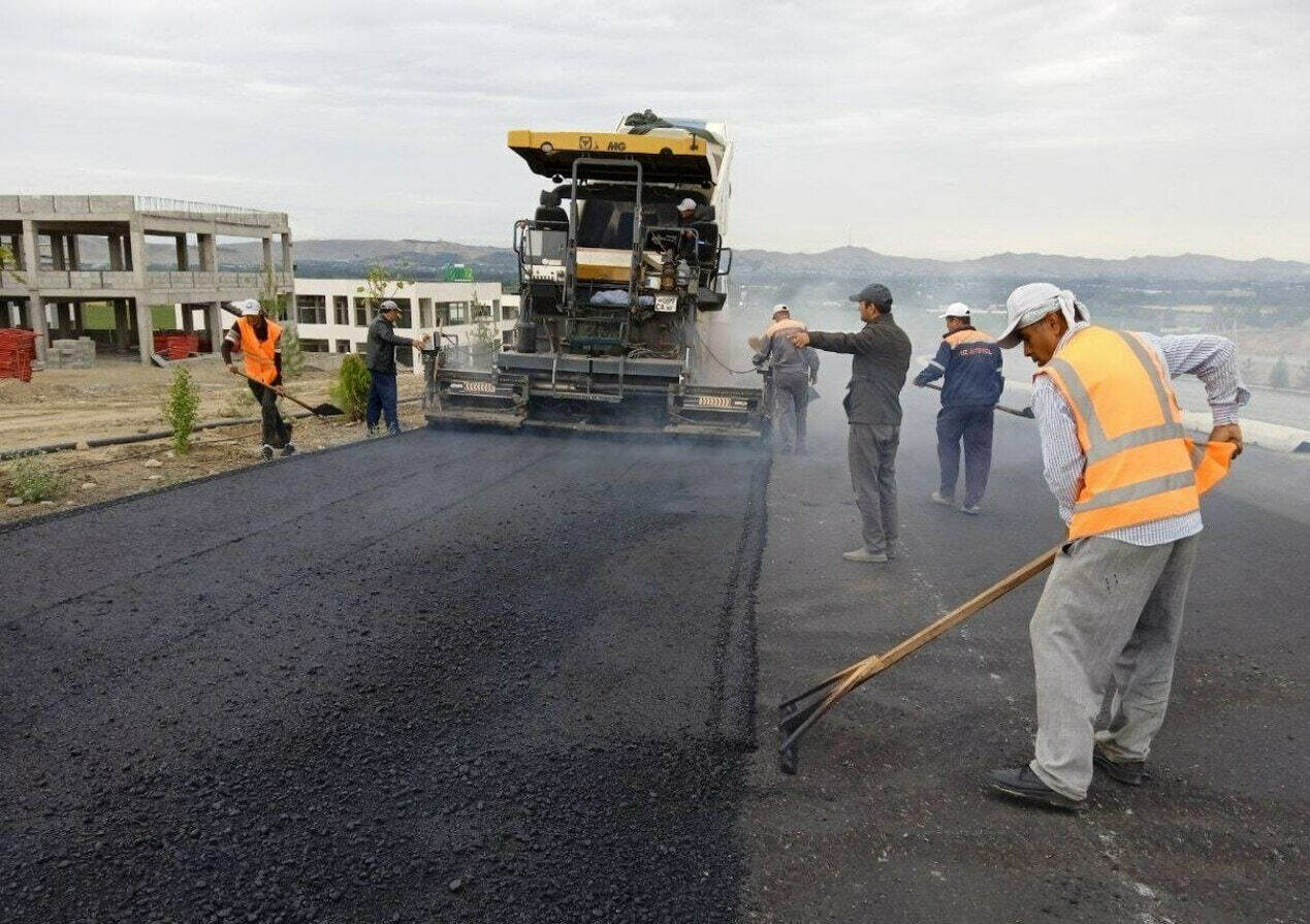 Surxondaryoda yo‘l qurilishi tufayli 9,5 mingga yaqin daraxt xavf ostida