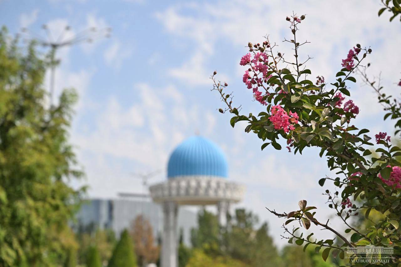 купить книги онлайн в узбекистане