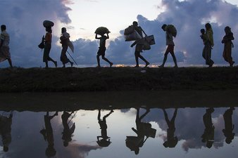 Migration