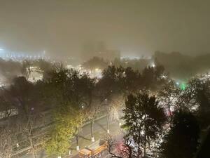 Фото: Ижтимоий тармоқлар