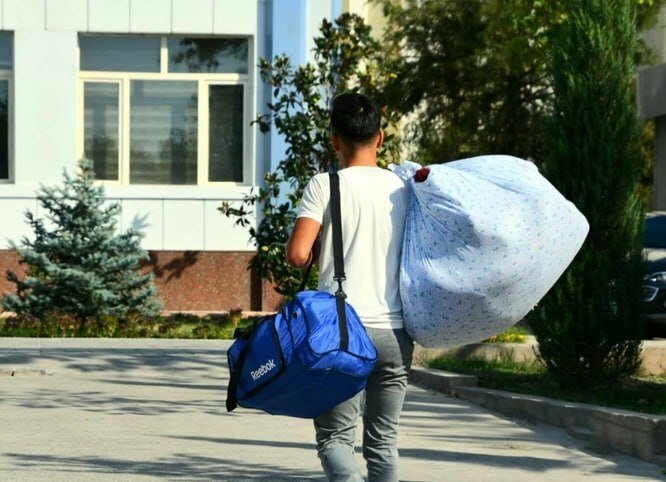 Как будет решена проблема с общежитиями и арендой для студентов в этом году?
