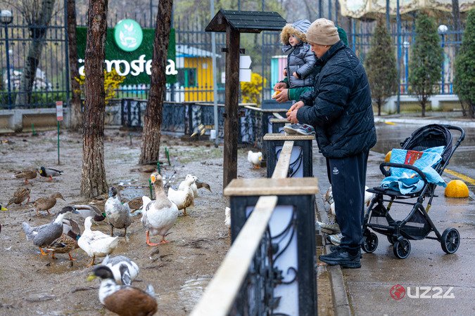 “Bizdan bahor begonadir borgan sari” — fotojamlanma